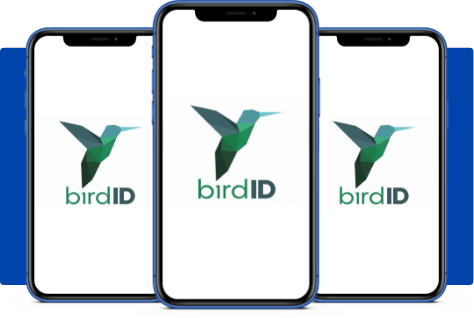 Bird ID: Sua Assinatura Digital na Nuvem em São Paulo